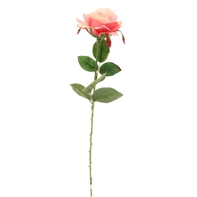 Rose Fuchsia 42cm 