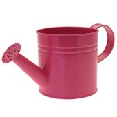 Hot Pink Watering Can (12cm)