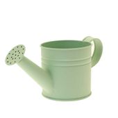 Matt Green Watering Can (9.2cm)