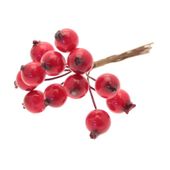Red Berry Bunch 10cm x 12pcs