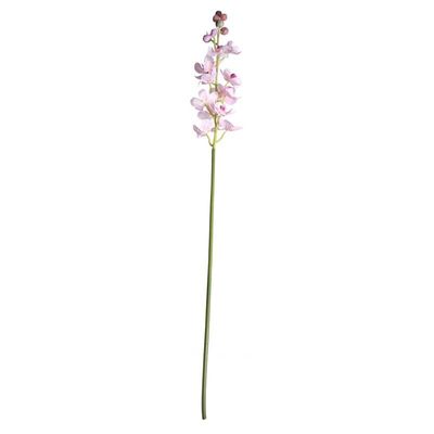 Dainty Orchid Blush Pink