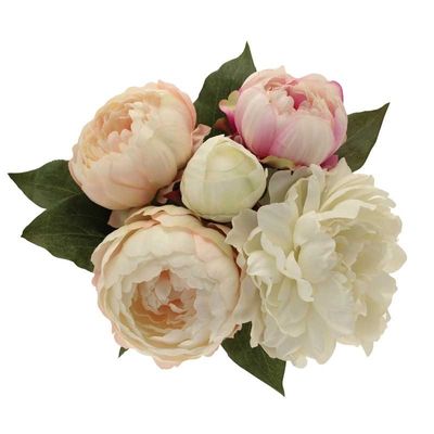 Peony Bouquet x 5 Cream/Pink 