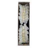 Feather Butterfly Cream - 5cm (Pk12)