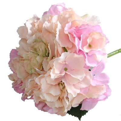 Short Stem Hydrangea Blush Pink  