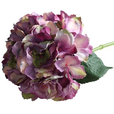 Short Stem Hydrangea Antique Purple 