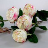 Peony Rose x 4 Cream Pink 