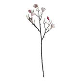 Magnolia Branch Blush Pink 