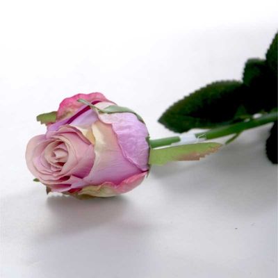 Small Rose Bud Lavender