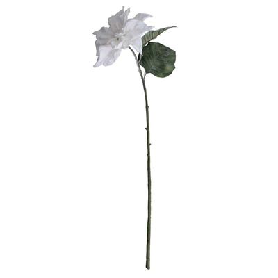 Single Poinsettia with 2 Leaves White (70cm)