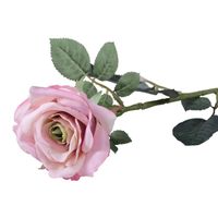 Olivia Rose Antique Pink (72cm)