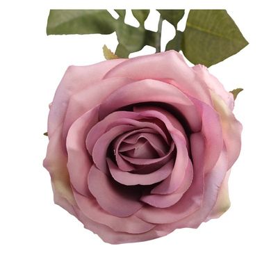 Vintage Rose Lilac