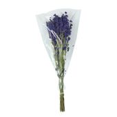 Larkspur Dark Blue  Bunch 