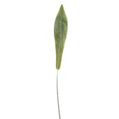 Bird Nest Fern Single Leaf (Plastic) (28 inch)