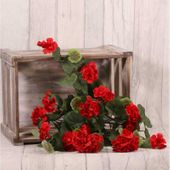 Geranium Bush Red 11 Heads (40cm)