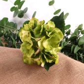 Hydrangea Pick Green