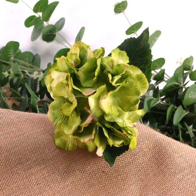 Hydrangea Pick Green