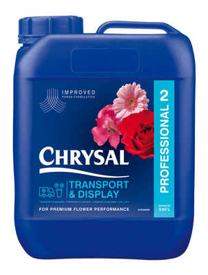 Chrysal Professional 2 Concentrate 10 ltr 
