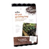 445634 40x6cm Grow Tray W/Pots