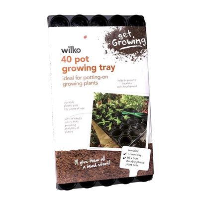 445634 40x6cm Grow Tray W/Pots