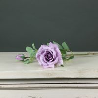 Tintagel Spray Rose Lavender (24/240)