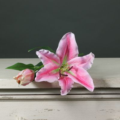 Tintagel Lily Dark Pink (12/144)