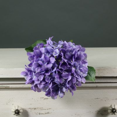 Tintagel Hydrangea Lavender (12/144)