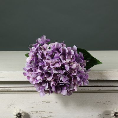 Tintagel Hydrangea Lilac (12/144)