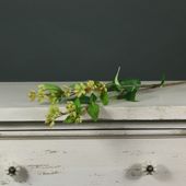 Tintagel Sweet Berry Spray Green (24/240)