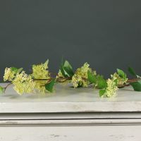 Tintagel Wild Berry Spray Yellow (24/240)