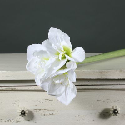 Amaryllis Spray White (60cm)(12/72)