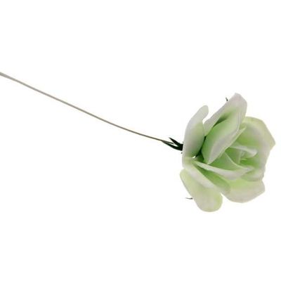 Rose Pick White X100  (1/12)