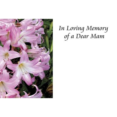 In Loving Memory - Dear Mam x50 (12)