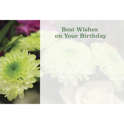 Best Wishes on Your Birthday - Chrysanth  x50 (12)