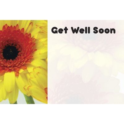 Get Well Soon - Yellow Gerbera  x50 (12)