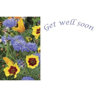 Get Well Soon - Blue/Yellow Flowers x50(12)