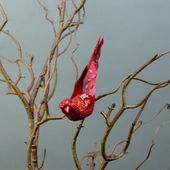Set of 2 x 15.5cm Red Glittered Bird w/clip