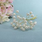 Cream Large Pearl Spray (48/384)