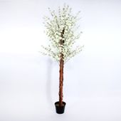 180cm Blossom Tree White  (1/2)
