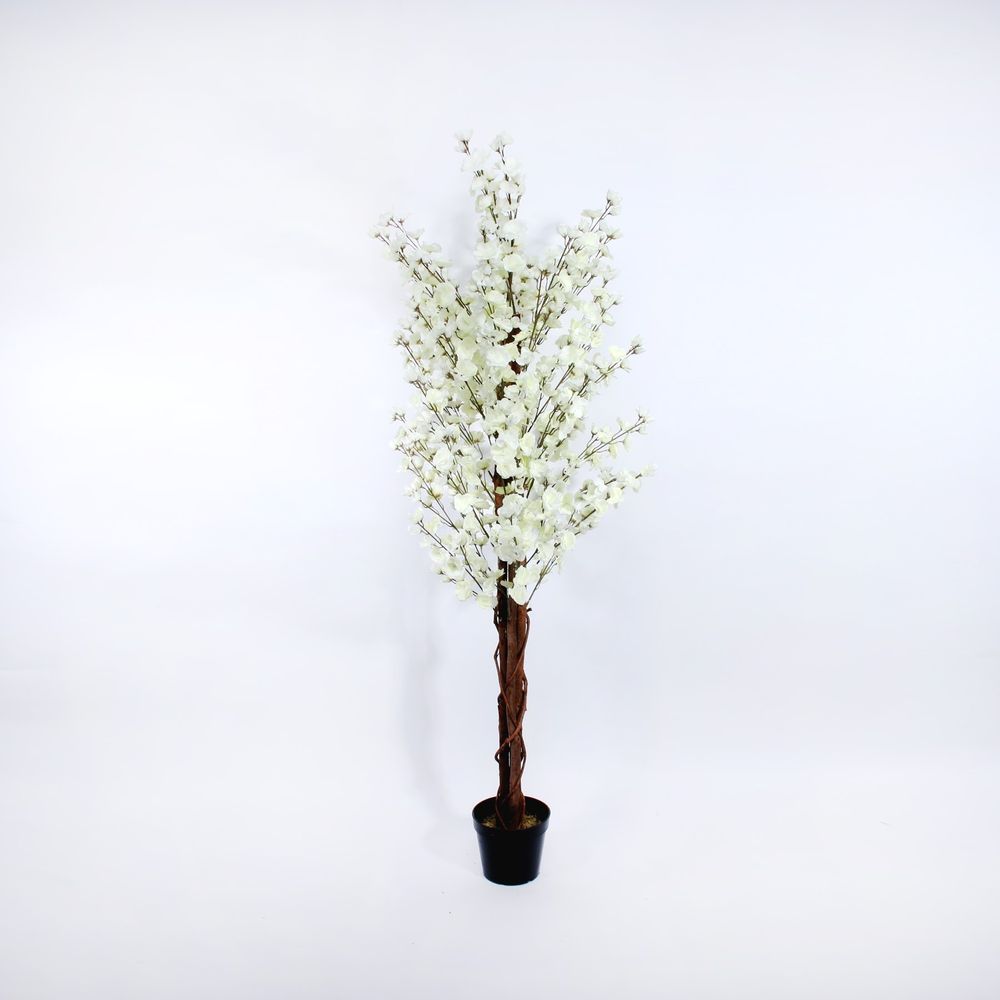 White Blossom Tree (150cm) APAC