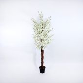 150cm  Blossom Tree White (1/2)