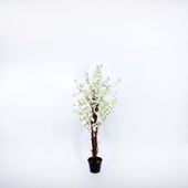 120cm  Blossom Tree White (1/2)