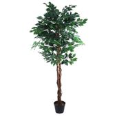 180cm Green Ficus Tree  (1/2)
