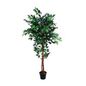 150cm Green Ficus Tree  (1/2)