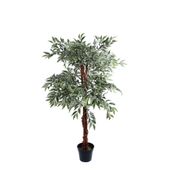 120cm Varigated Ficus Tree Mini Leaf  (1/2)