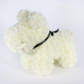 Amour Rose Pup Cream 