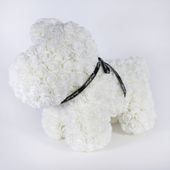 Amour Rose Pup White