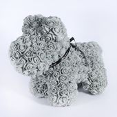 Amour Rose Pup Grey