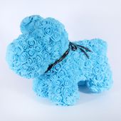Amour Rose Pup Blue