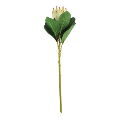 Protea Green (51cm)(12/192)