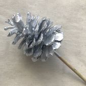 Silver Nigra Cones on 25cm Stem (x100pcs)